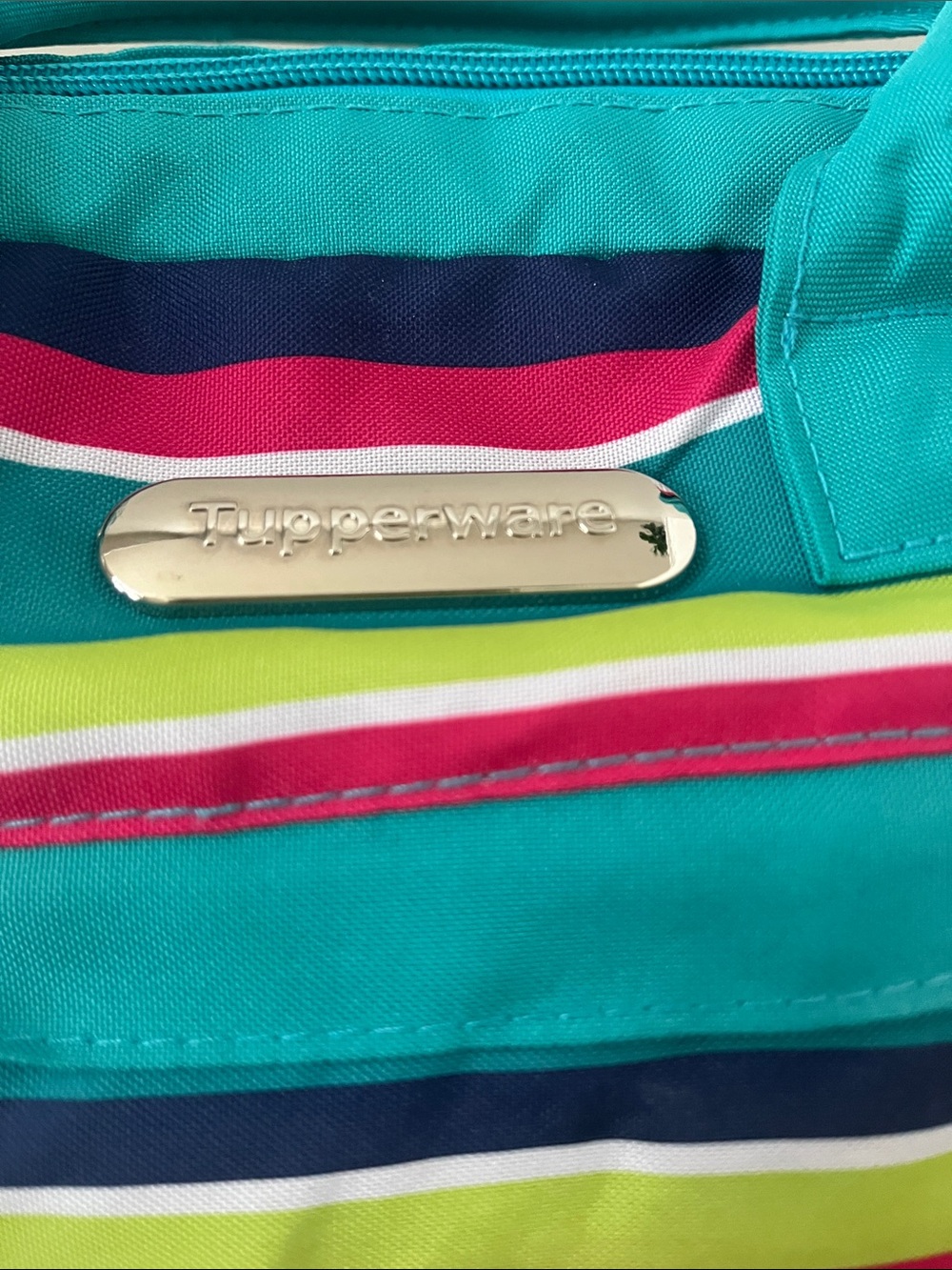 Teal Striped Tupperware Lunch Bag - Picture 2 of 6